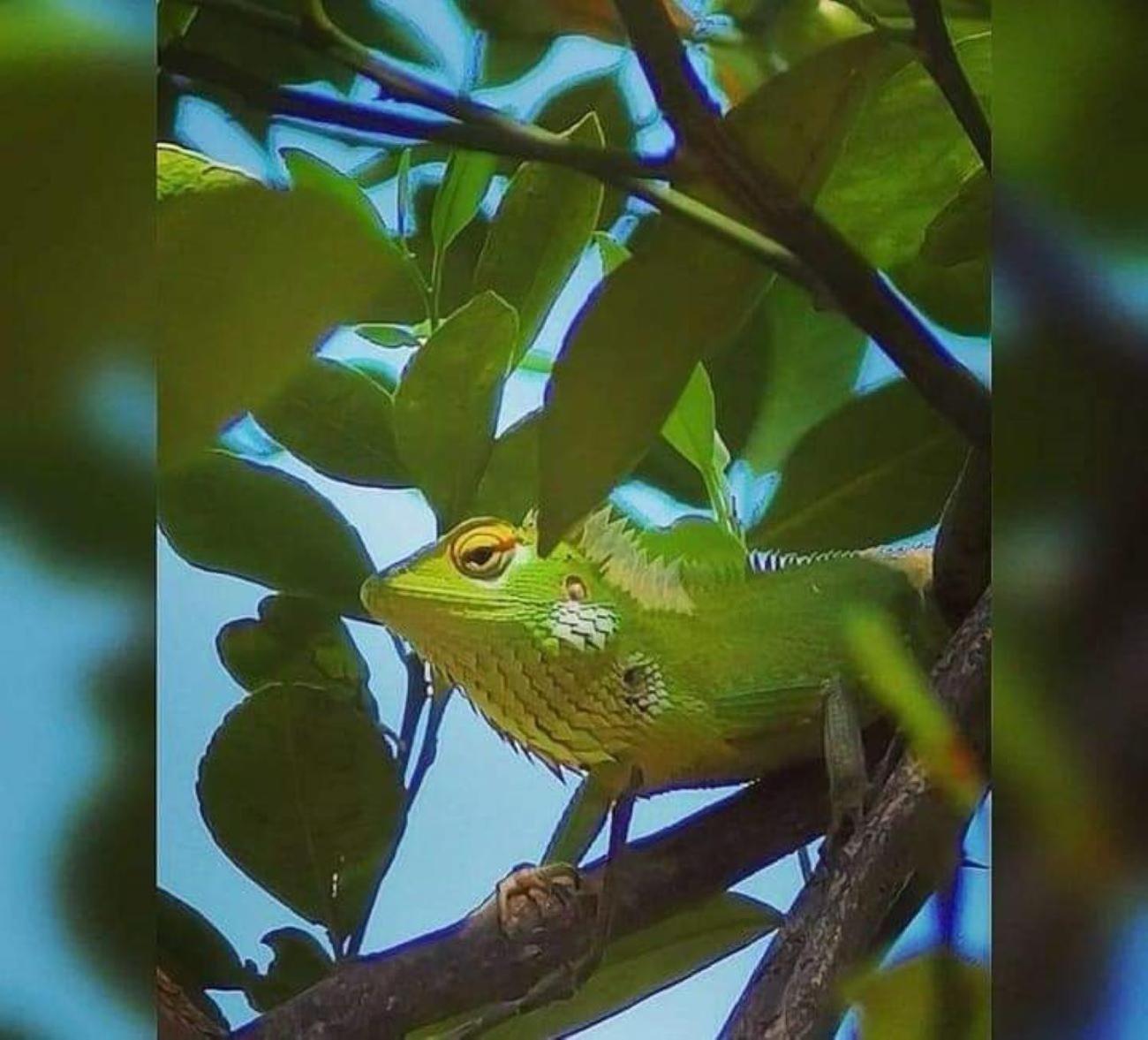 ウナワトゥナ Freedom Houseヴィラ エクステリア 写真